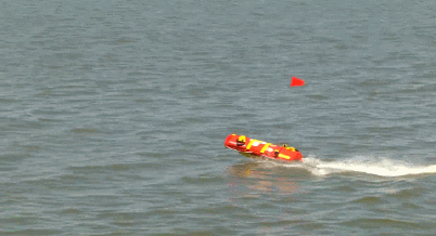 Robotic Lifeguard