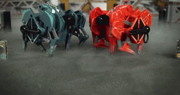 hexbug-battle-bot