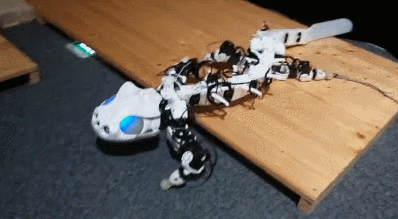 robot salamander