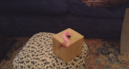 Knife Wielding Tentacle