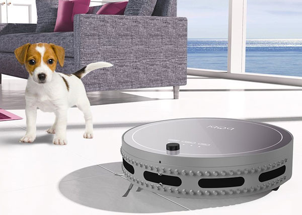 bobi-pet