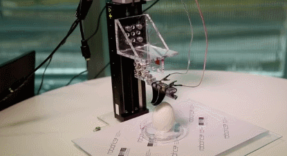 soft robotic gripper