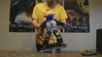 Humanoid Robot Balancing