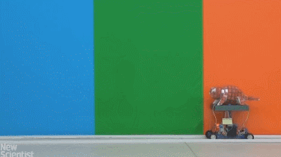 chameleon robot