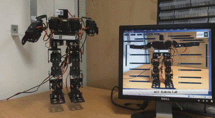 17 dof robot