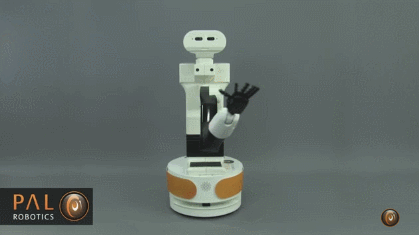 TIAGo Manipulator Robot