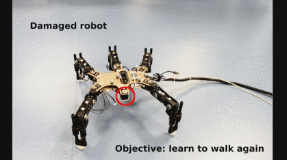 Robot Damage Recovery