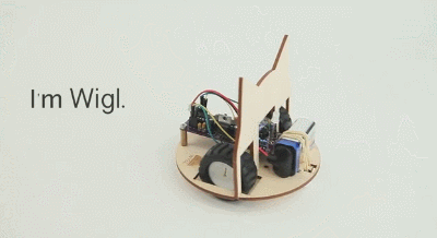 Wigl Kit
