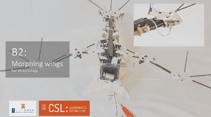 B2-3D-Printed-Bat-Robot