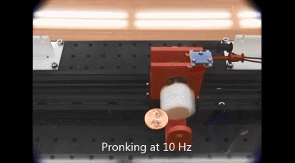 3D Printed Magnetically Actuated Quadruped Tiny Bots [20mm]