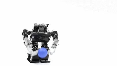 RoboBuilder RQ-HUNO Kit