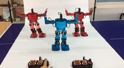 FEETECH 17DOF Humanoid Robot