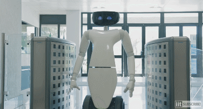 R1 Personal Humanoid Robot