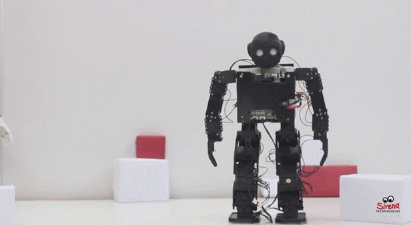 Sirena Nino Humanoid Robot