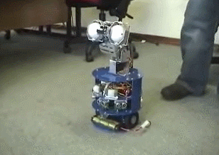 Dr. Robot DRK8080 WiFi Robot