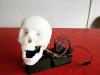 DIY: 3D Printed Robotic Skull with Motion Detection for Halloween