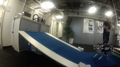 quadrupedal-robot-dynamic-trotting