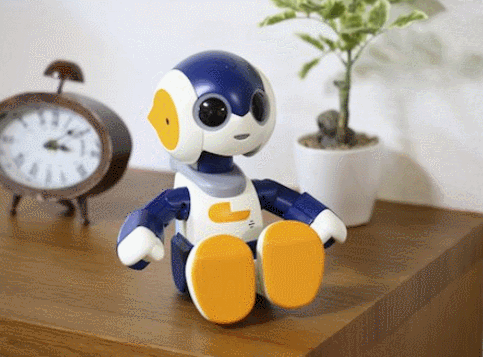 motto-nakayoshi-robi-jr-miniature-robot