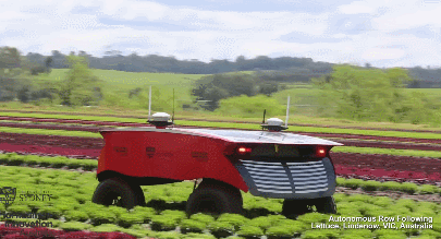 rippa-autonomous-robot