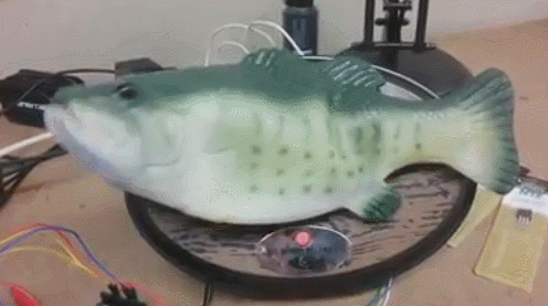 robotic-fish