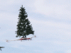 Flying Christmas Tree – Drone Mounted