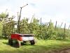 Apple Orchard Autonomy with RIPPA Robot