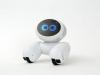 i-JINi Pet-Style Smart Home Robot