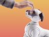 Sony’s Aibo Robot Dog with AI