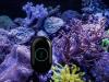 MOAI Smart Aquarium Robot