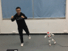 Whole Body Imitation System for Humanoid Robots