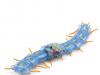 Tamiya Centipede Educational Robot