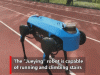 Jueying Robot Dog Can Adapt to Rough Terrain, Move 20kg Objects
