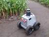 Mamut: Autonomous Agricultural Robot
