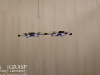Designing Self-Assembling / Disassembling Drones