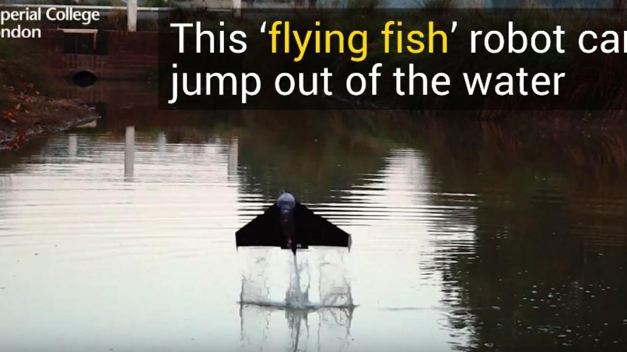 This 'Flying fish' Robot Can Jump Out of Water - Robotic Gizmos