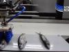 mGrip Robot Gripper for Handling of Seafood
