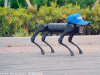 Unitree Robotics A1 Robot Dog Learns to Dance