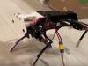 Yuki Mini 12DOF Quadruped Robot