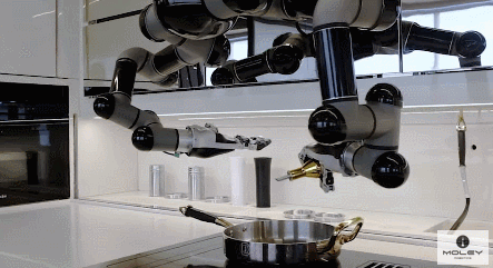 Moley Robotic Kitchen Cooking Steak - Robotic Gizmos