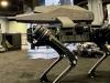 Ghost Robotics’ Armed Quadruped Robot