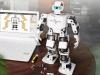 Tonybot Arduino Based Humanoid Robot