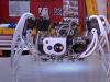 i.C. Hexapod Face Tracking Robot