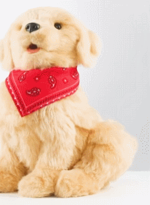 Companion Pet Pup – Ageless Innovation LLC