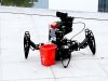 Raspberry Pi Spider Robot with AI, Python Coding