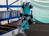 Digit Humanoid Robot Can Now Get Back Up After It Falls
