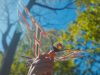 X-Fly Biomimetic Robotic Flying Creature