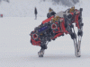 Stella 3D Printable Quadruped Robot