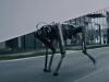 Black Panther II: Robotic Dog That Sprints 100 Meters in Under 10 Seconds