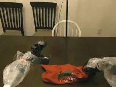 7X Robot Autonomously Folding T-Shirts