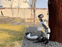 HoST: Robots Learning to Stand Up Across Diverse Postures